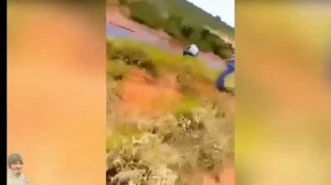 В Узбекистане нашли большой Змея