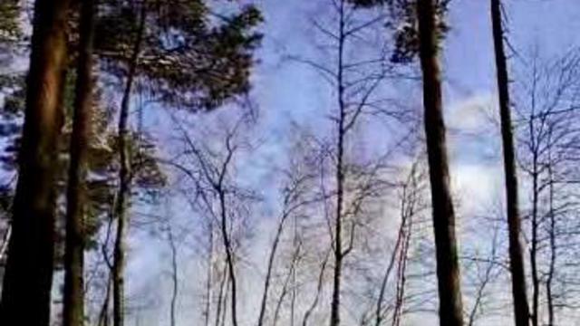 Зимняя Сказка