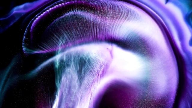 АБСТРАКТЫ 2.mp4