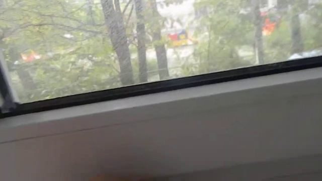 Дьюс Горгон базовый смотреть онлайн