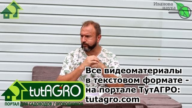 ПРОБУЮ НА ВКУС ГНОМОВ. Вкусные томаты гномы 2023 года. Теперь буду их сажать всегда! смотреть онлайн