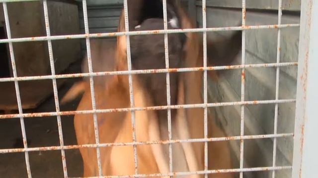 Сюжет фила бразилейро смотреть онлайн