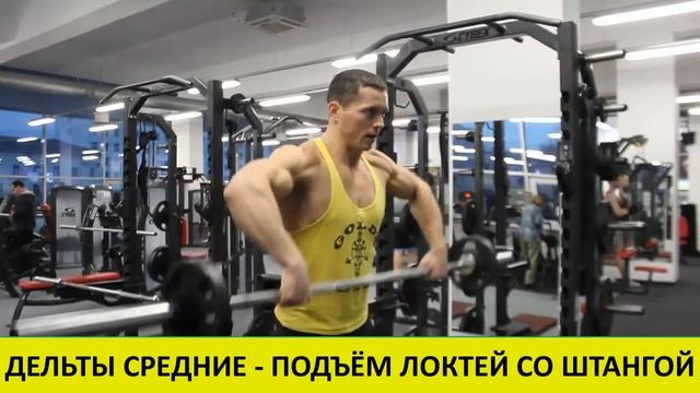 ДЕЛЬТЫ СРЕДНИЕ - ПОДЪЁМ ЛОКТЕЙ СО ШТАНГОЙ. смотреть онлайн