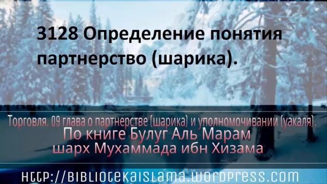 3128 Определение понятия партнерство шарика смотреть онлайн