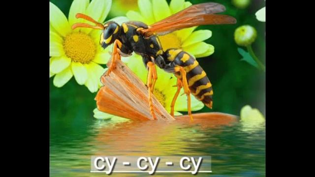 логопедическая распевка Оса.avi смотреть онлайн