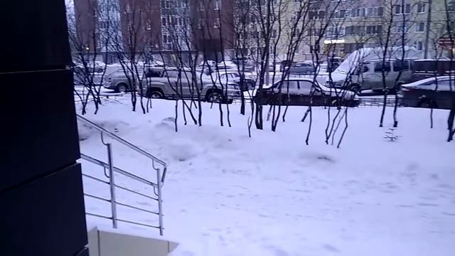 12 мая Новый Уренгой