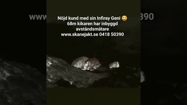 Infiray Geni GL35R LRF смотреть онлайн