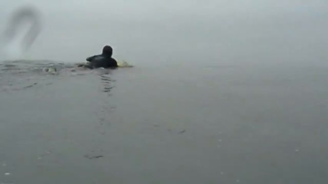 VídeoSom - Panasonic SW20 смотреть онлайн