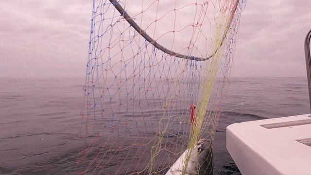 Морская рыбалка Владивосток / Соревнование "ОТКРЫТОЕ МОРЕ 2022" смотреть онлайн