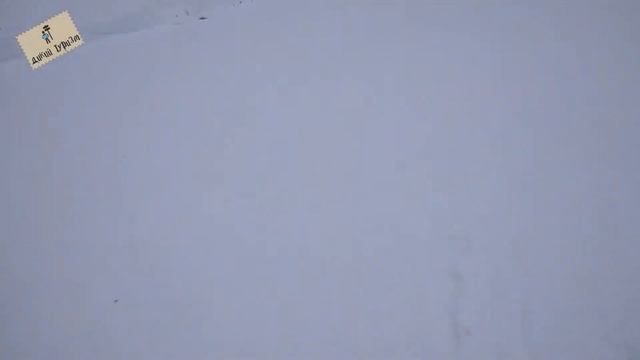 Трасса реликтовый лес гтц Красная поляна