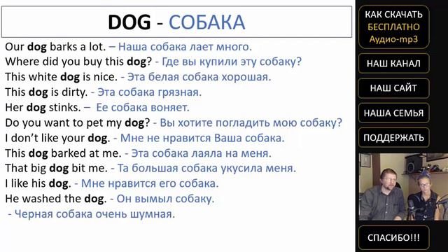 Топ 12 000 английских слов /w-00005/ Английский язык / английские слова с переводом и примерами смотреть онлайн