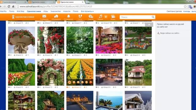 Как правильно оформить страничку для работы в Одноклассниках смотреть онлайн