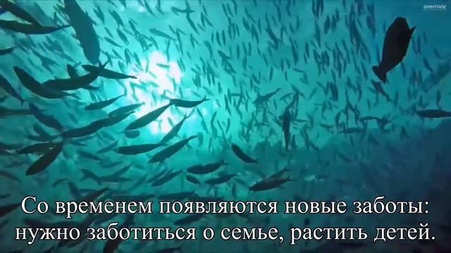 Вычислили возраст для счастья — Статья смотреть онлайн