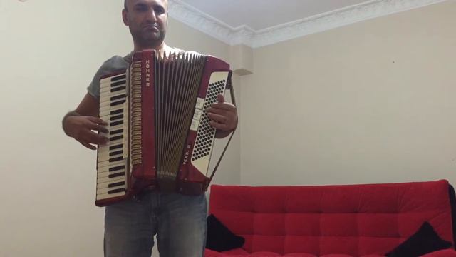 Hasta Siempre - played on accordion смотреть онлайн