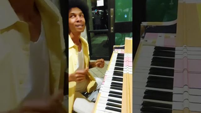 Playing Zombie & Llama Music on a Public Piano ? (Note Block Universe) #improvisation смотреть онлайн