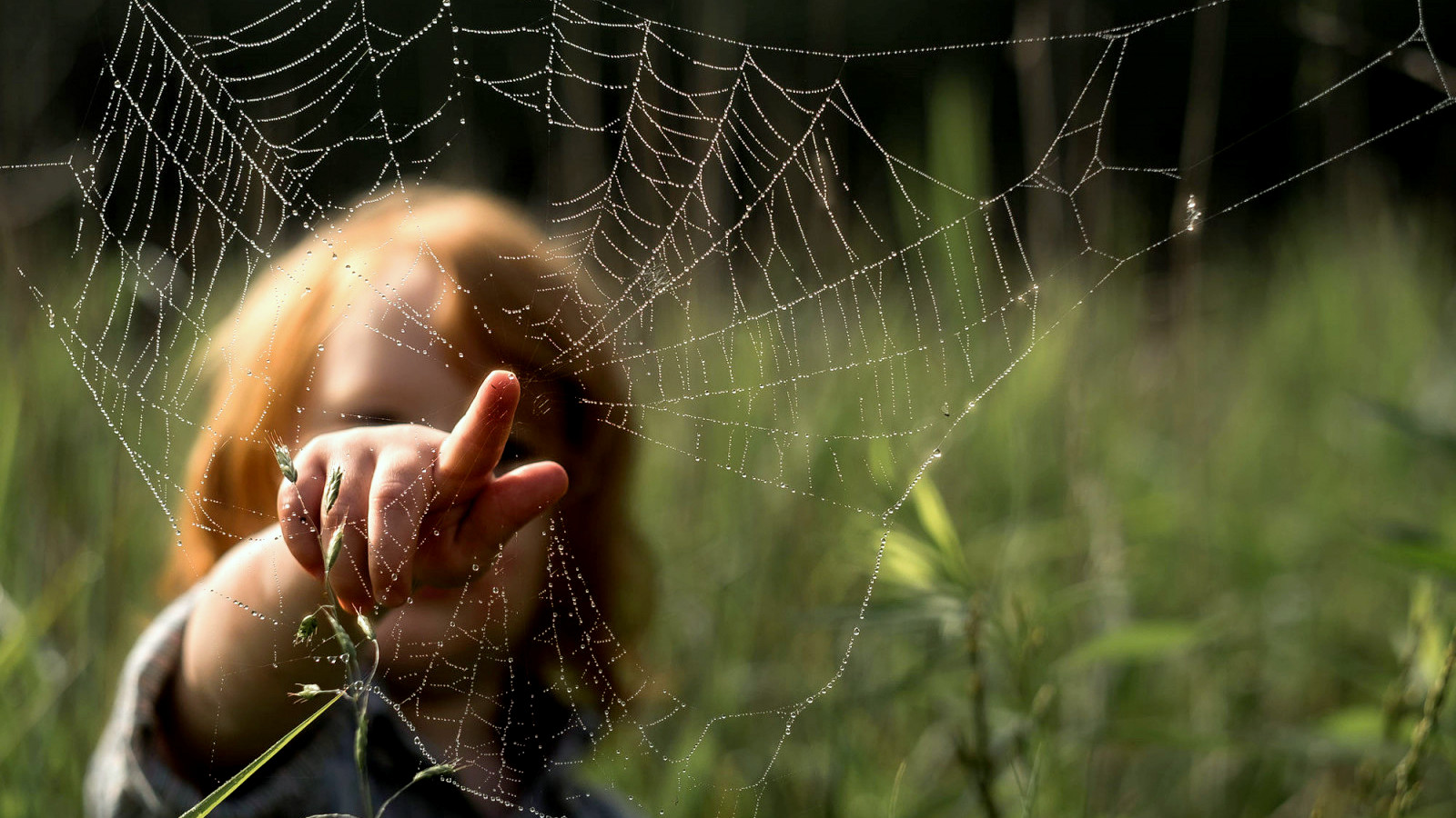 Крах глобальной "паутины"