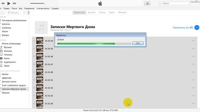Конвертация книг для iPhone/iPad/iPod смотреть онлайн