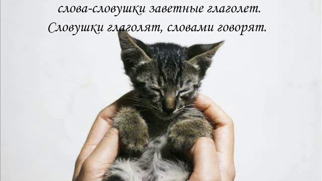 Заговор от болезни у котов и кошек смотреть онлайн