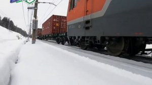 Служебное собаководство в отрядах филиала ФГП ВО ЖДТ России на ЗСЖД