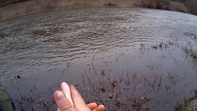 Голавль . Ловля голавля на пикер .Река Красивая Меча. смотреть онлайн