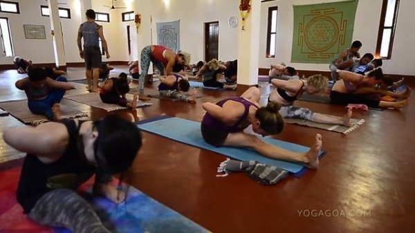 Led Class with David Robson