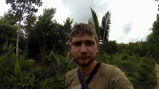 В джунглях Амазонки. День 3 смотреть онлайн