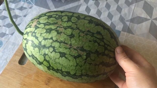 Мини арбуз . Порционный . Вырастить получится у всех . смотреть онлайн