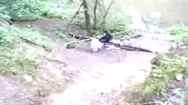 После пивка на тарзанку...А чего бы и нет!! смотреть онлайн