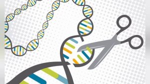 CRISPR-Cas9. Биотехнология. Краткий обзор. Зачем эта информация инвестору