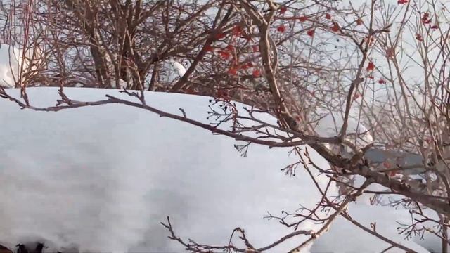 Искусство и Талантливость