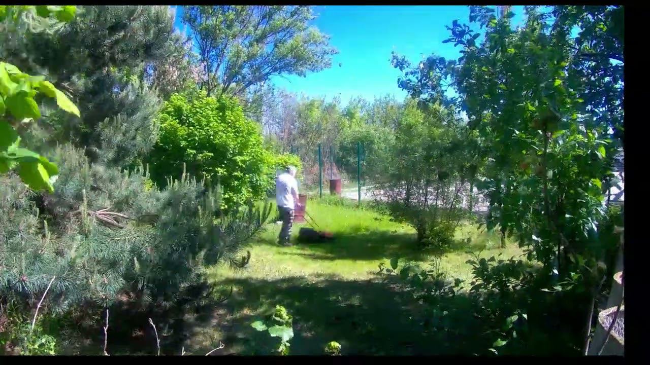 Косильщик газона смотреть онлайн