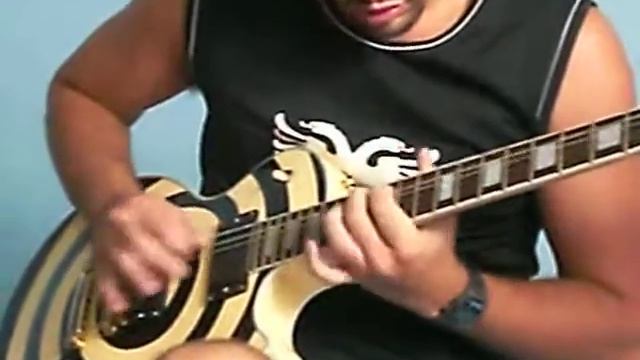Guitarra Zakk Wylde (Rafael Silveira) смотреть онлайн