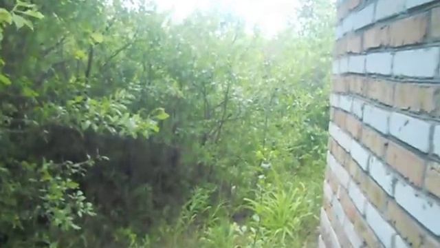 Богатыри (картина Васнецова). Опьянение и искусство. Совмещаю приятное с полезным. смотреть онлайн