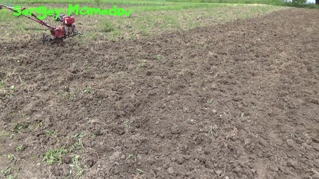 ➤ВНЕСЕНИЕ УДОБРЕНИЯ ПОД ПОЛИВ. смотреть онлайн