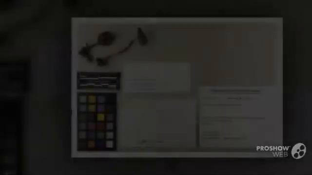 Inocybe nitidiuscula - fungi kingdom смотреть онлайн