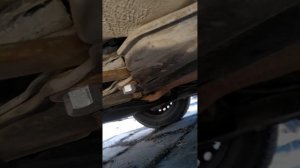 скрип передней подвески хундай акцент