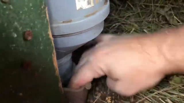 Делаем зерно смесь для кроликов ? какое зерно лучше давать кроликам? смотреть онлайн