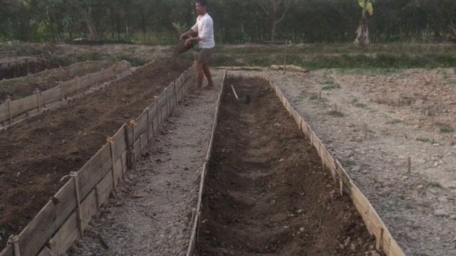 Raised Bed Permaculture for Asparagus смотреть онлайн
