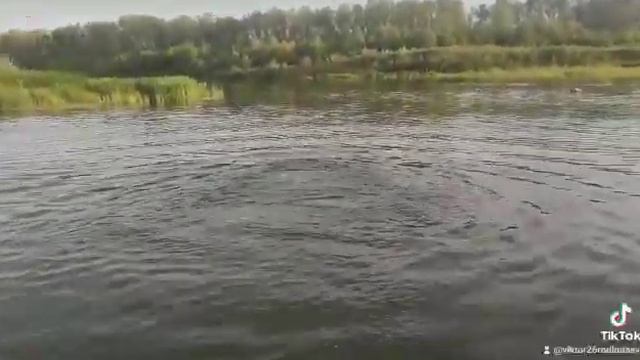 нырнул в воду смотреть онлайн