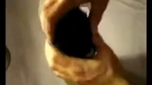 Как сделать настольный поглотитель дыма смотреть онлайн