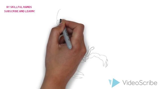 How to Draw a Scorpion / Как нарисовать скорпиона смотреть онлайн