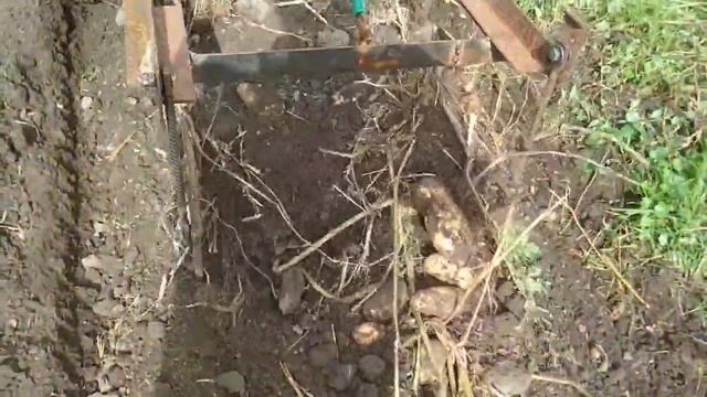 Грохотная картофелекопалка с отдельным двигателем для мототрактора смотреть онлайн
