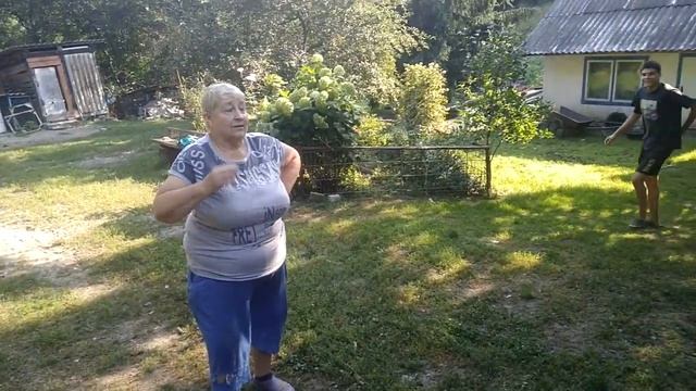 Собрали грибы что с ними делать теперь? смотреть онлайн