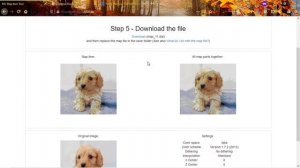 How to add a custom image to a map on aternos