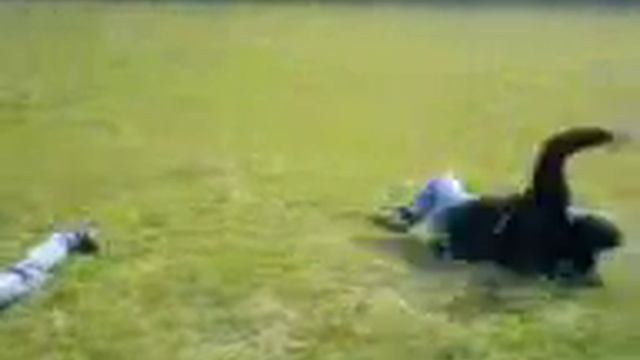 WWE Street fights смотреть онлайн