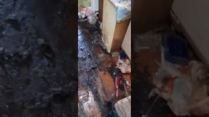 уборка после трупа