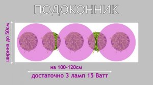 КАК ВЫБРАТЬ МОЩНОСТЬ И ФОРМУ ФИТОЛАМПЫ?