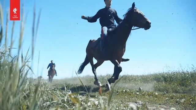 Невероятная Тюмень смотреть онлайн