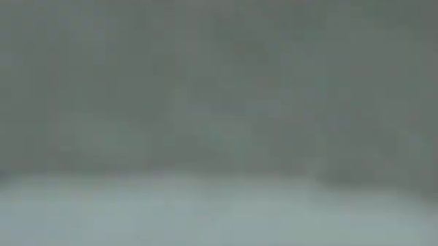 ден любит сметану