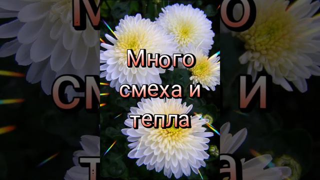 С днем рождения смотреть онлайн